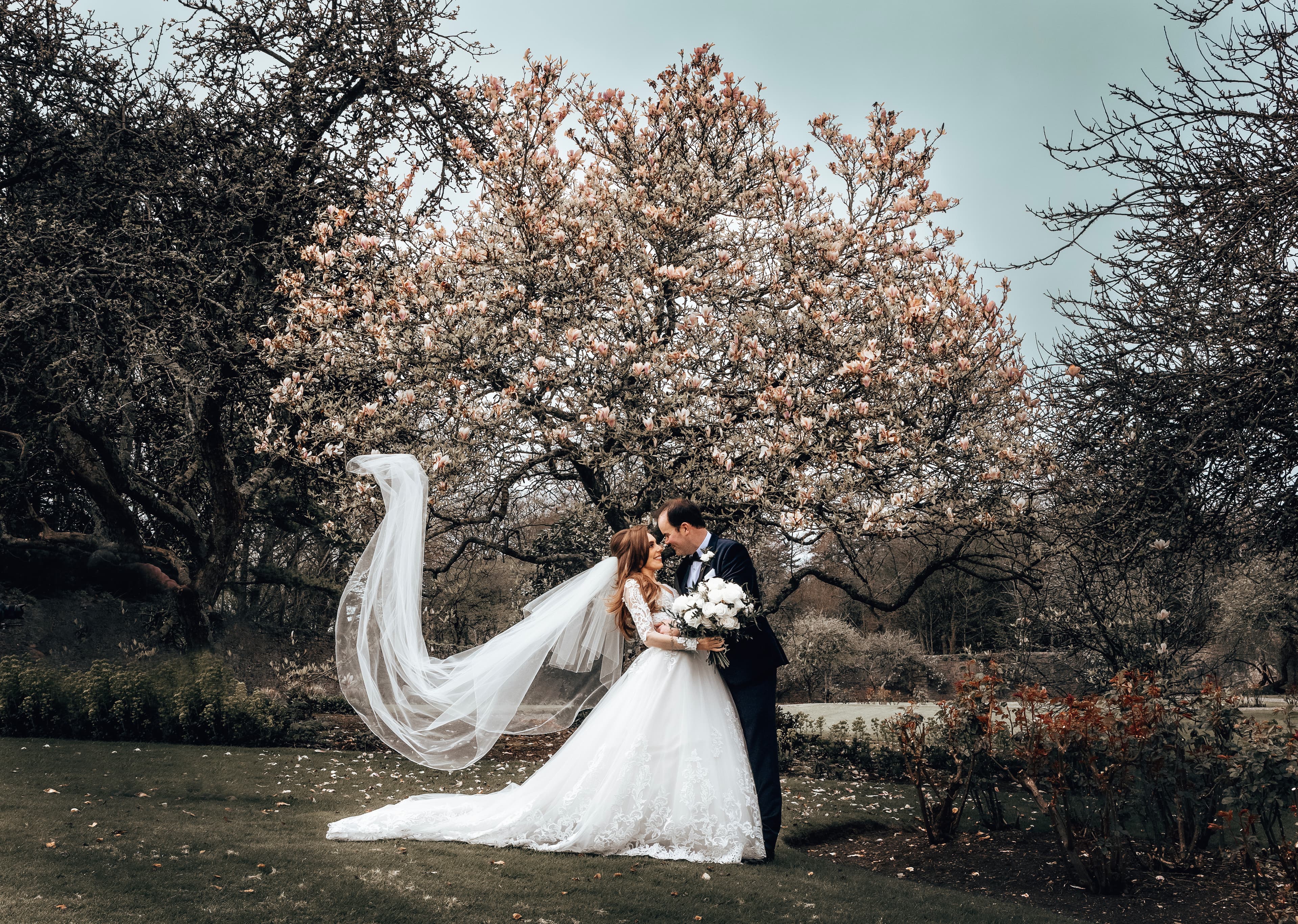 Couple kissing under magnolia tree, veil flying